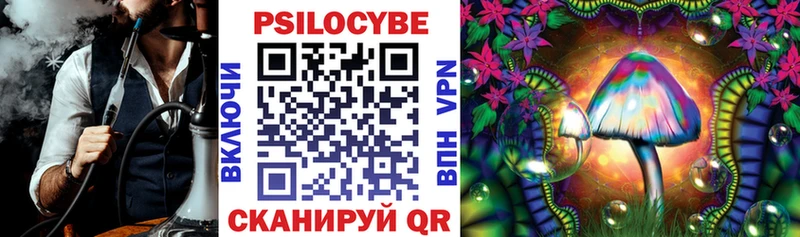 Купить  Чапаевск  Псилоцибиновые грибы Psilocybe 